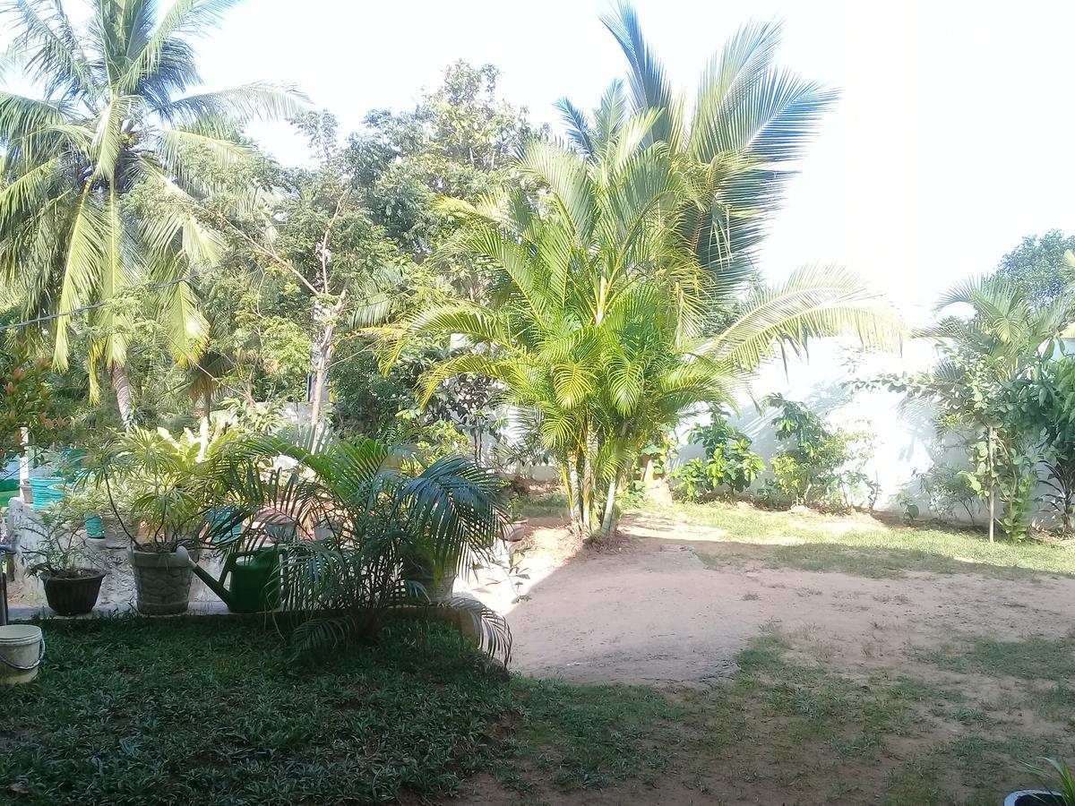 Mountain Heaven Inn Mirissa Bagian luar foto