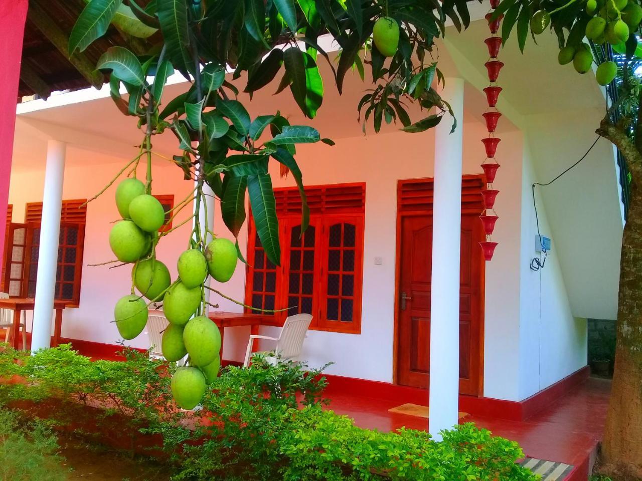 Mountain Heaven Inn Mirissa Bagian luar foto